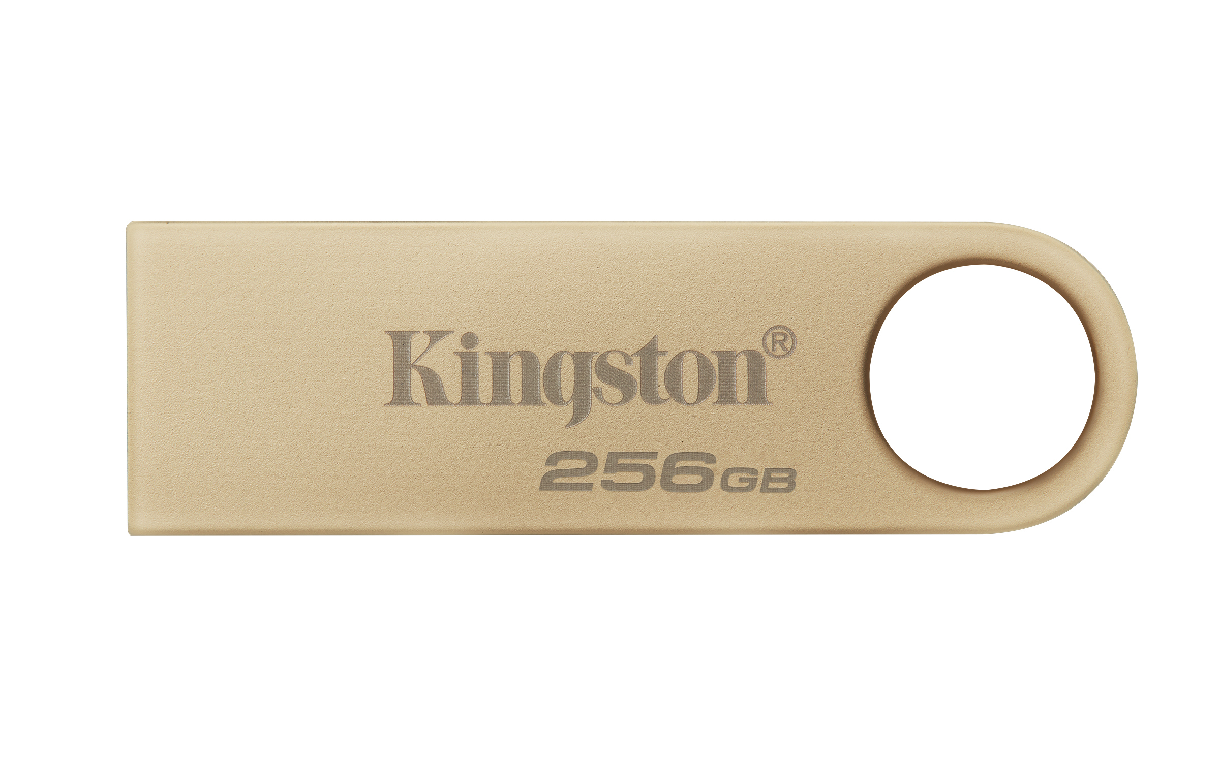 Kingston DataTraveler SE 9 G3 Metal 256GB