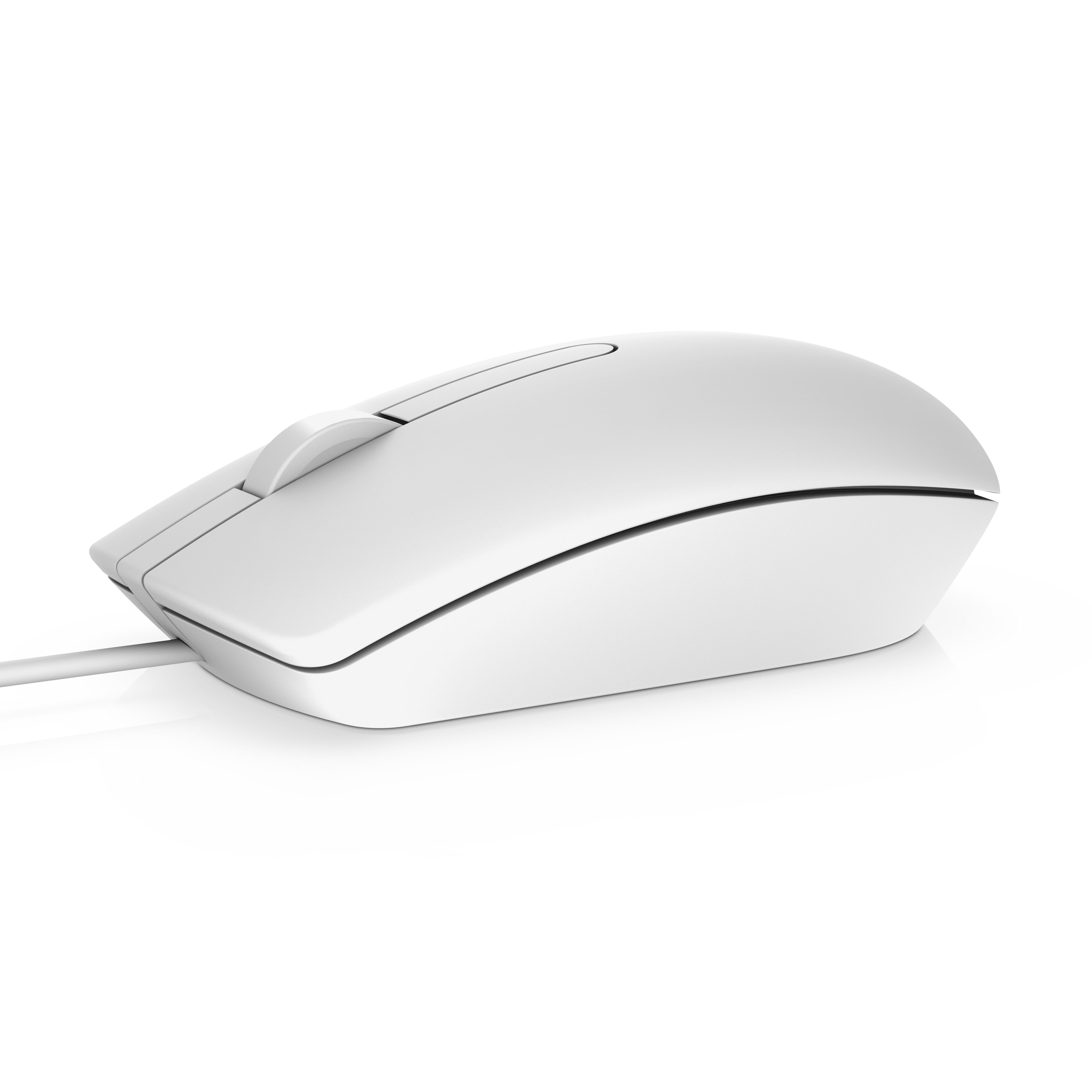 Dell MS116 USB white