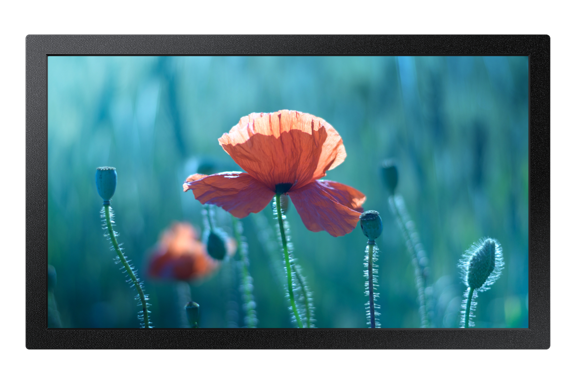 Samsung Smart Signage QB13C 33,02cm(13")
