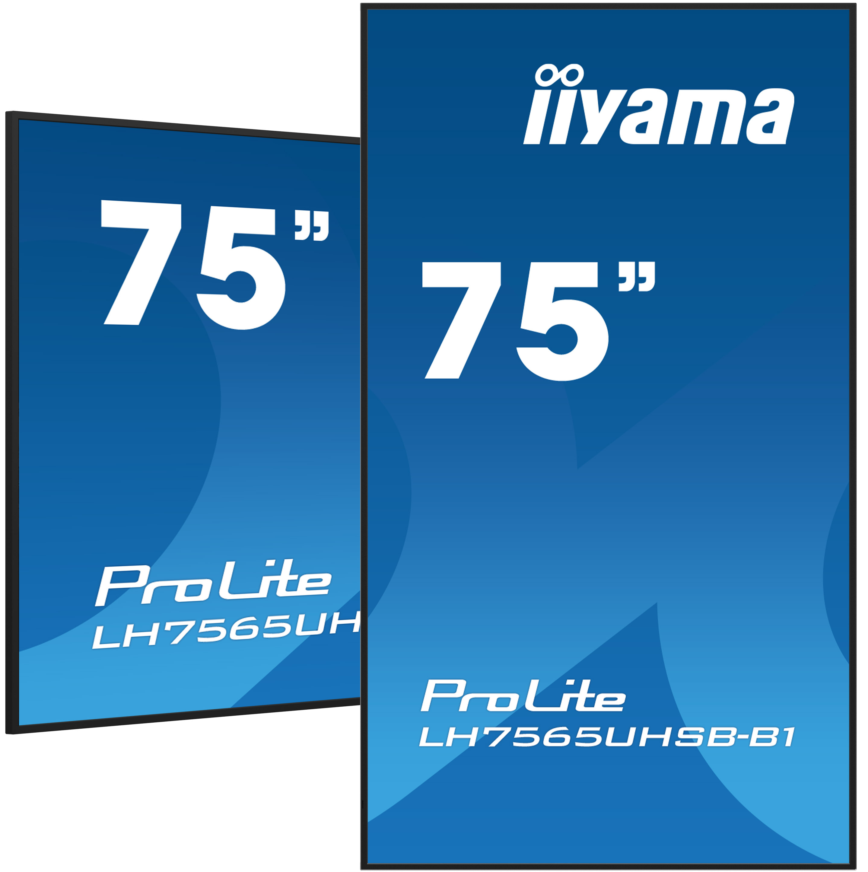 iiyama ProLite LH7565UHSB-B1 75 4K UHD (2160p)