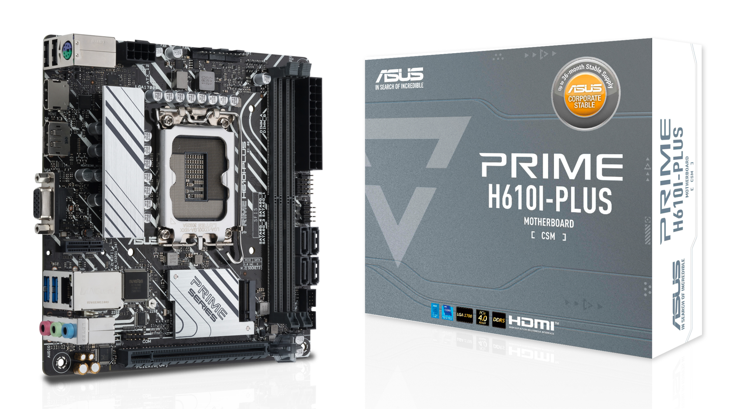 ASUS PRIME H610I-PLUS-CSM (Mini-ITX, H610, LGA 1700, DDR5)