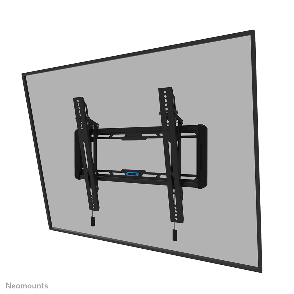 random_OGr4gnTkWJ