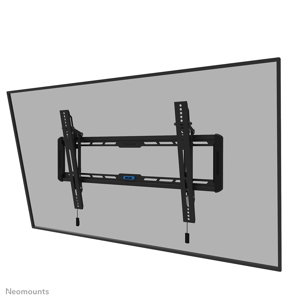 random_zlIpztFNAj