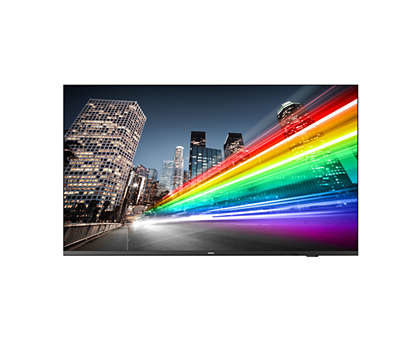 PHILIPS B-Line 50BFL2214 18/7/UHD/350cd DVB-C/T2 (Speditionsversand)