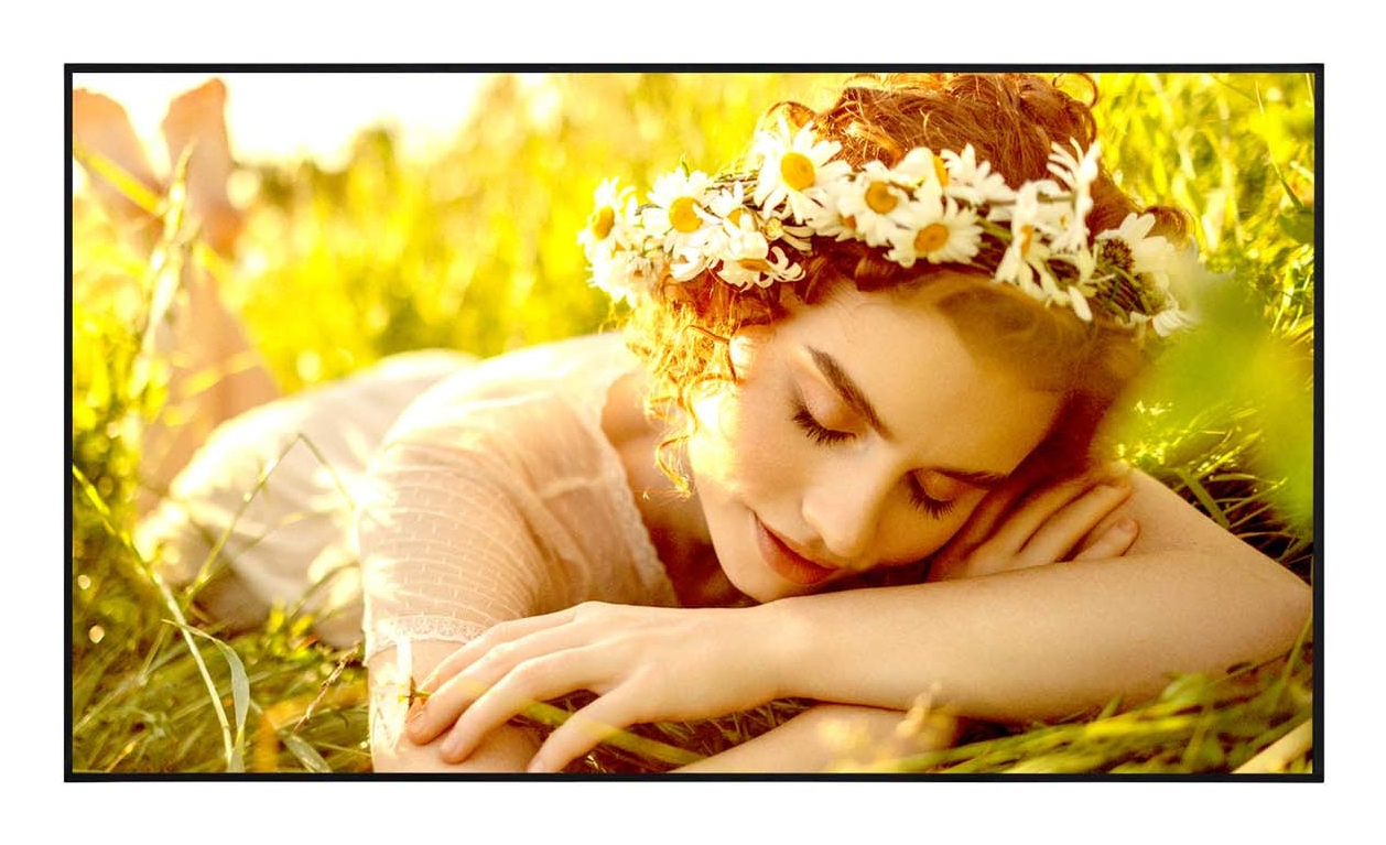LG UL5Q-E Series 50UL5Q-E 50 4K UHD (2160p)