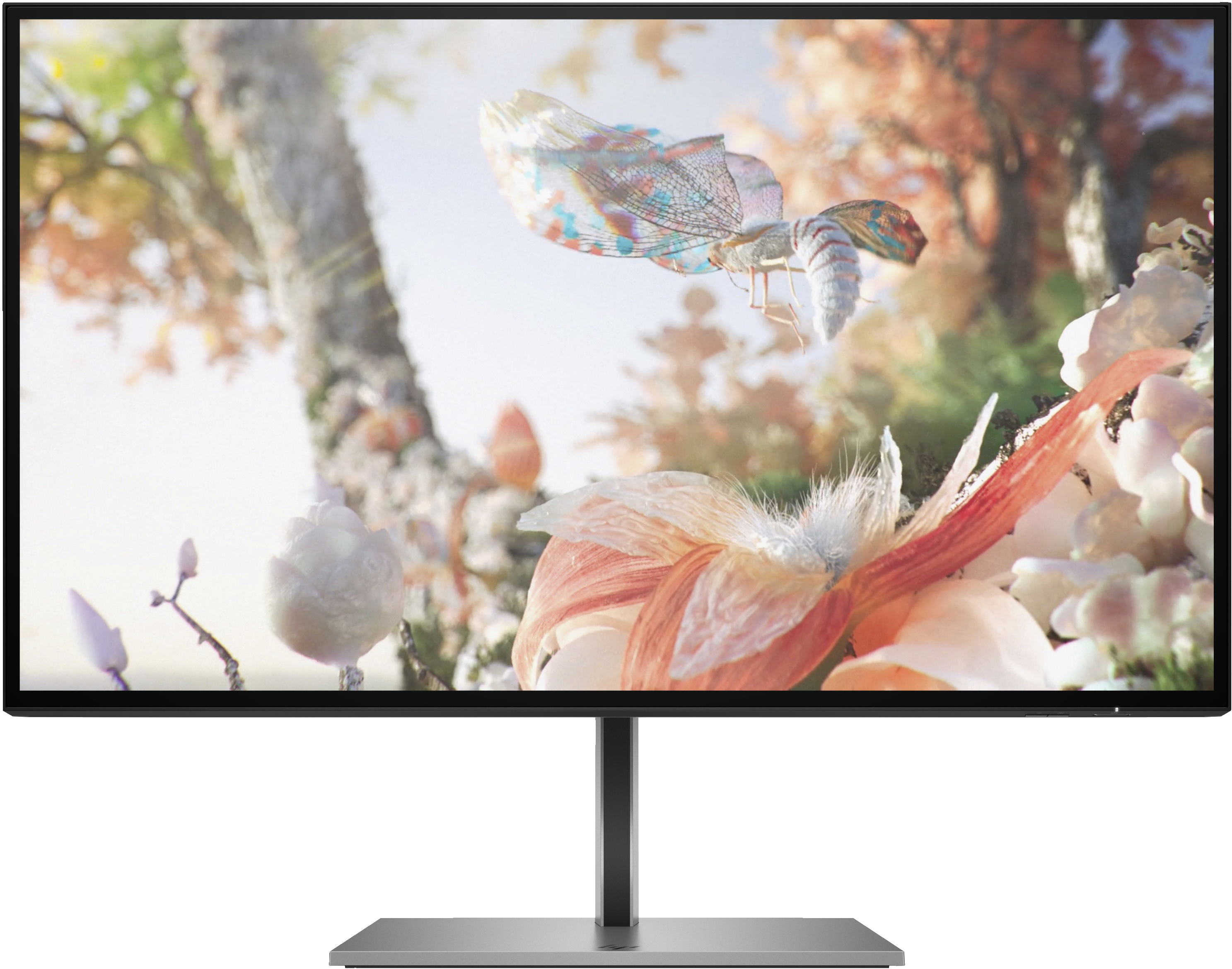 HP Z25xs G3 skærm - LED baglys - 25" -