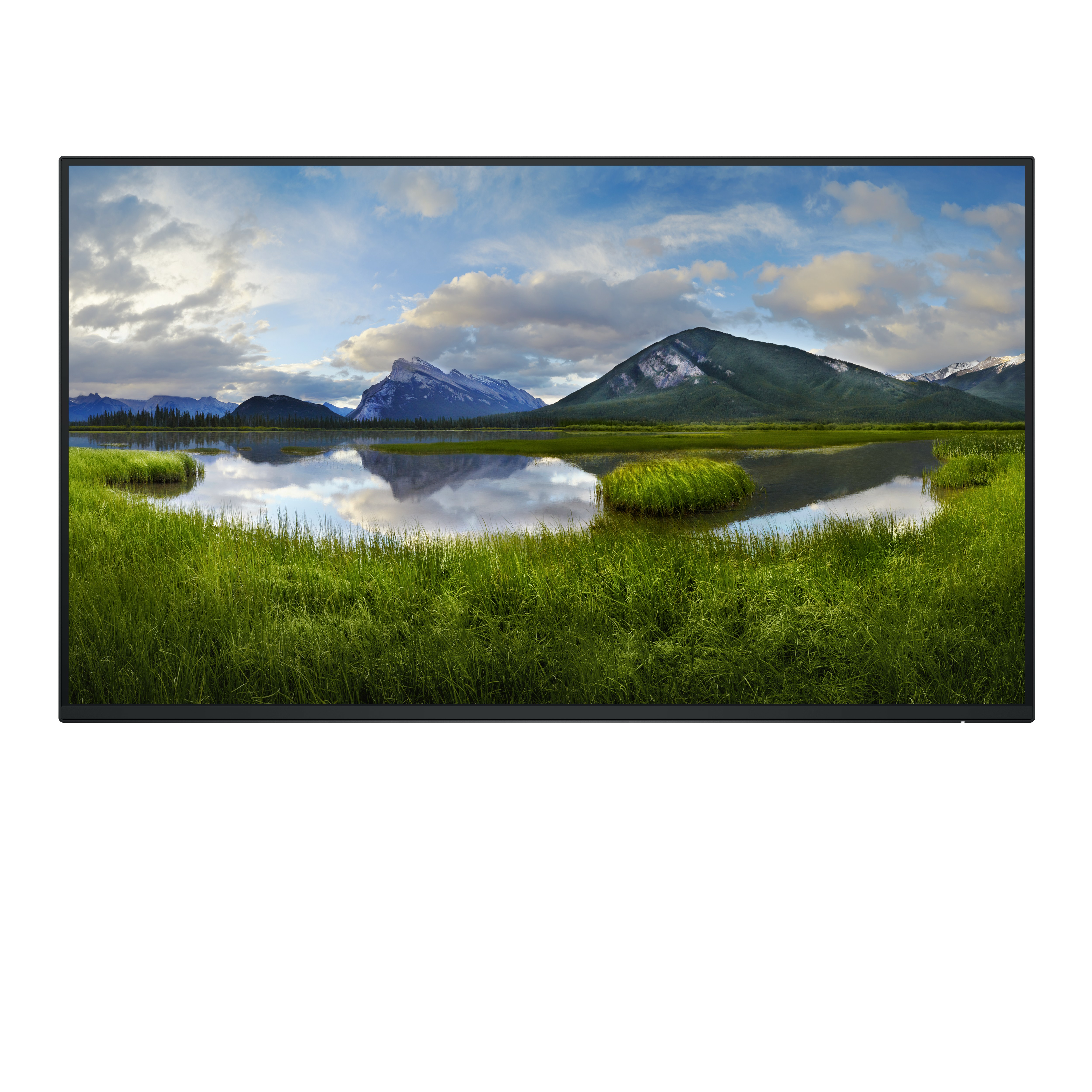 Dell P2725H skærm - LED baglys - 27" -