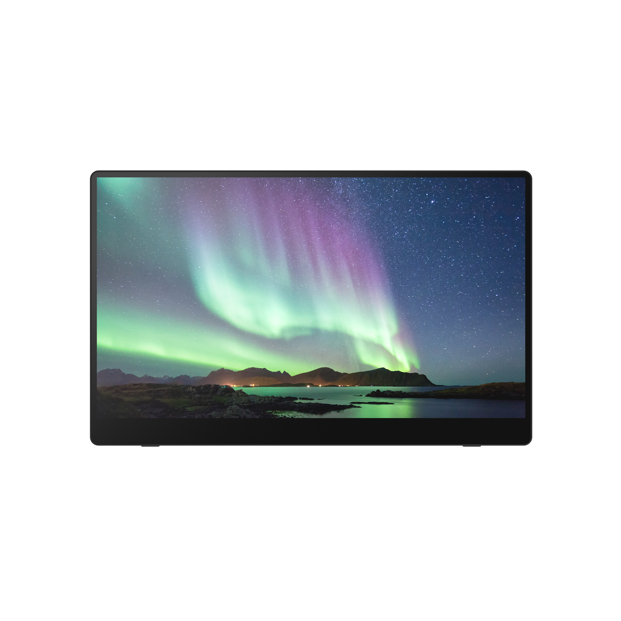Ricoh 150 - OLED-monitor - Full HD (10
