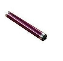 Toshiba OD-FC34M - magenta - original