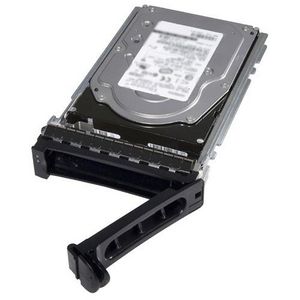 Dell 4TB 7.2K RPM NLSAS 12Gbps 512n 3.5in Hot-plug Hard Drive,CusKit