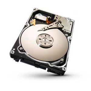 Seagate 1TB 64MB 7200RPM SAS 6Gb/s **Refurbished**