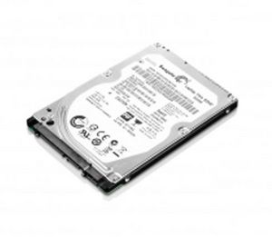 Lenovo 300Gb Fc 4Gbps 15K E Ddm H **REFURBISHED**