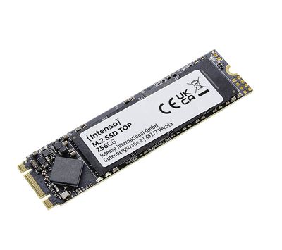 M.2 256GB Intenso Top Performance