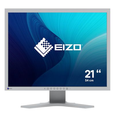 21in EIZO FlexScan S2134 1600x1200 Gra