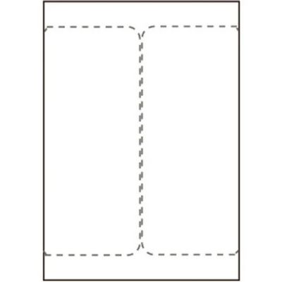 Capture Ship-label 105 x 220mm. For  laser/inkjet printers. Two  labels per sheet, 500 sheets per box