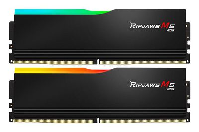 DDR5 96GB PC 5600 CL40 G.Skill (2x48GB
