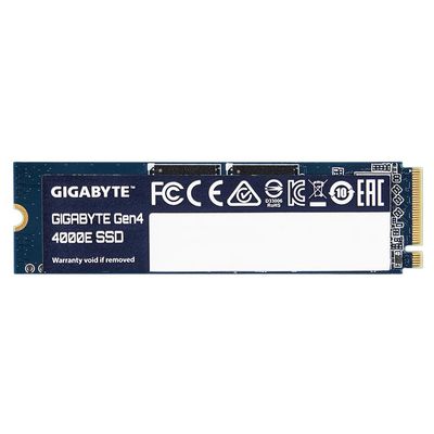 Gigabyte Gen4 SSD 4000E 250GB M.2 PCI Express 4.0 x4 (NVMe)