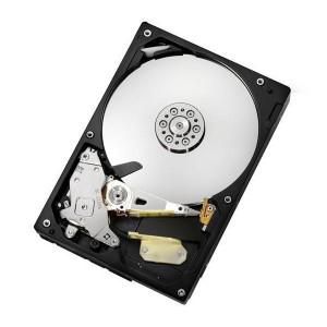 Hewlett Packard Enterprise 80GB Serial-ATA (SATA) 7200rpm 397551-001, 3.5", 80 GB, 7200  RPM