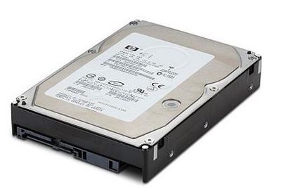 Hewlett Packard Enterprise DRV HD 300GB 2.5 10K 6G SAS SC MSFT