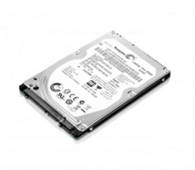 Lenovo 300Gb Fc 4Gbps 15K E Ddm H **REFURBISHED**
