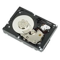 Dell HD,2T,NL6,7.2K,3.5,S-MSK,E/C **Refurbished**