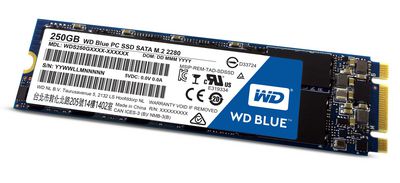 Western Digital WD Blue 250GB SATA3 **New Retail** M.2